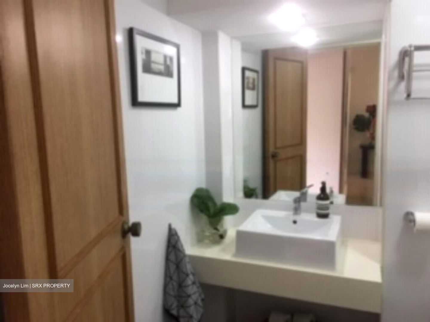 Tanglin Park (D10), Condominium #577225301